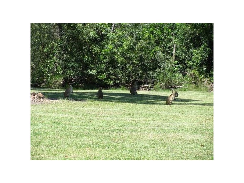 Mission Beach QLD 4852