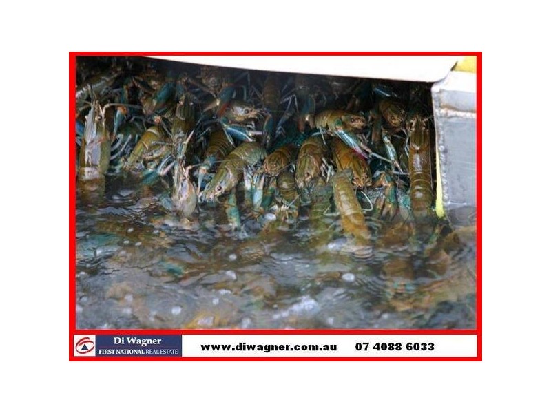 Mission Beach QLD 4852