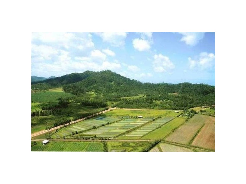 Mission Beach QLD 4852