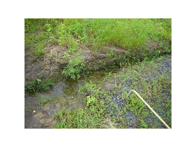 Mission Beach QLD 4852