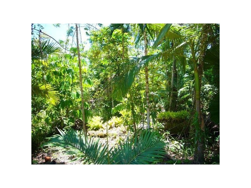 Mission Beach QLD 4852