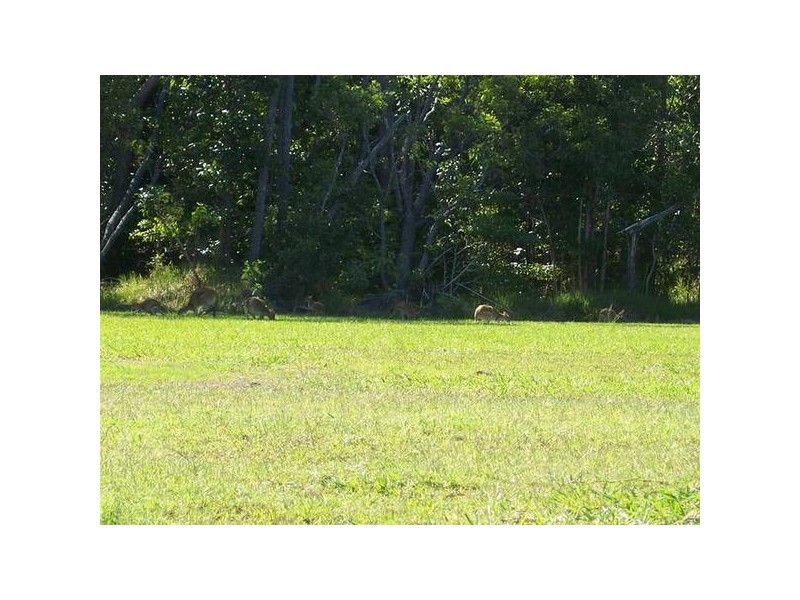 Mission Beach QLD 4852