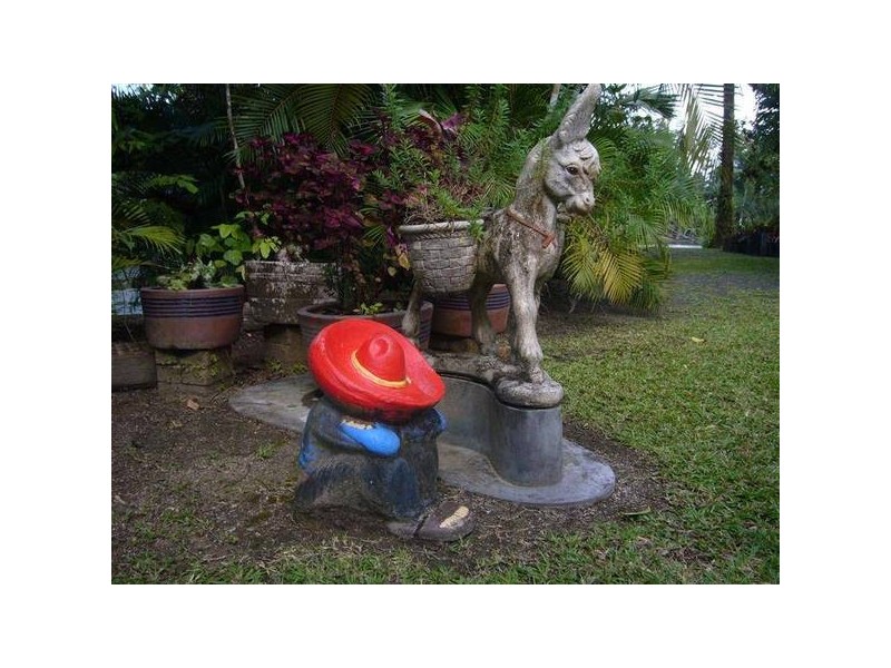 Mission Beach QLD 4852