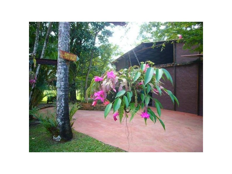 Mission Beach QLD 4852