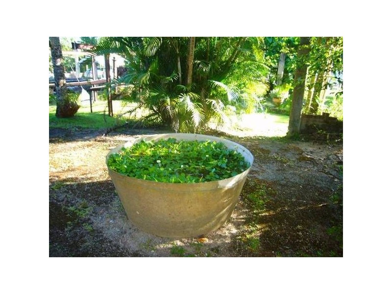 Mission Beach QLD 4852