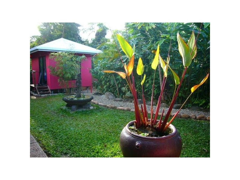 37 Pacific View Drive, Wongaling Beach QLD 4852