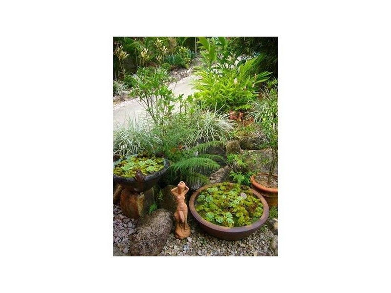 37 Pacific View Drive, Wongaling Beach QLD 4852