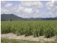 Midgenoo QLD 4854