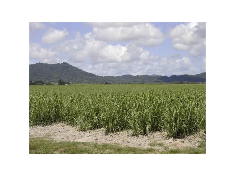 Midgenoo QLD 4854