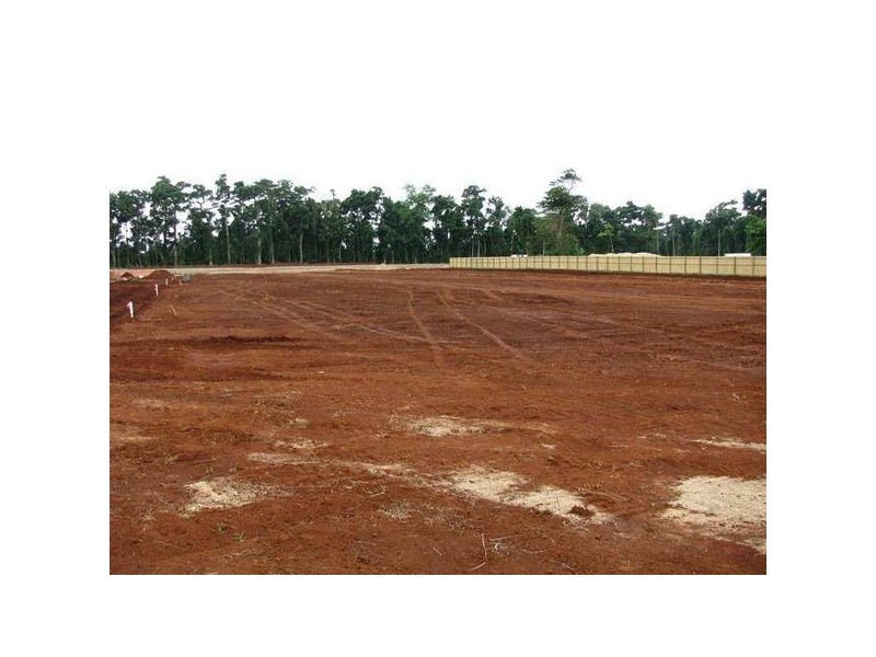 Mission Beach QLD 4852