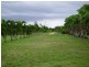 Kurrimine Beach QLD 4871