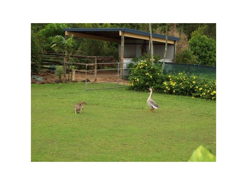 Mission Beach QLD 4852