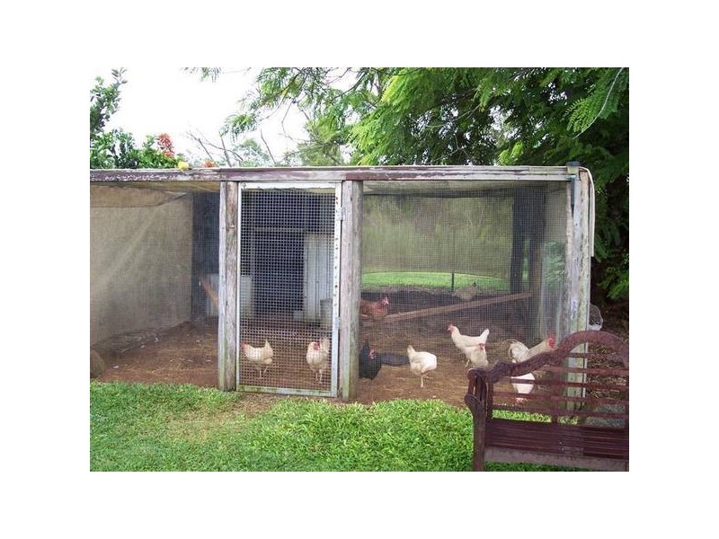 Mission Beach QLD 4852