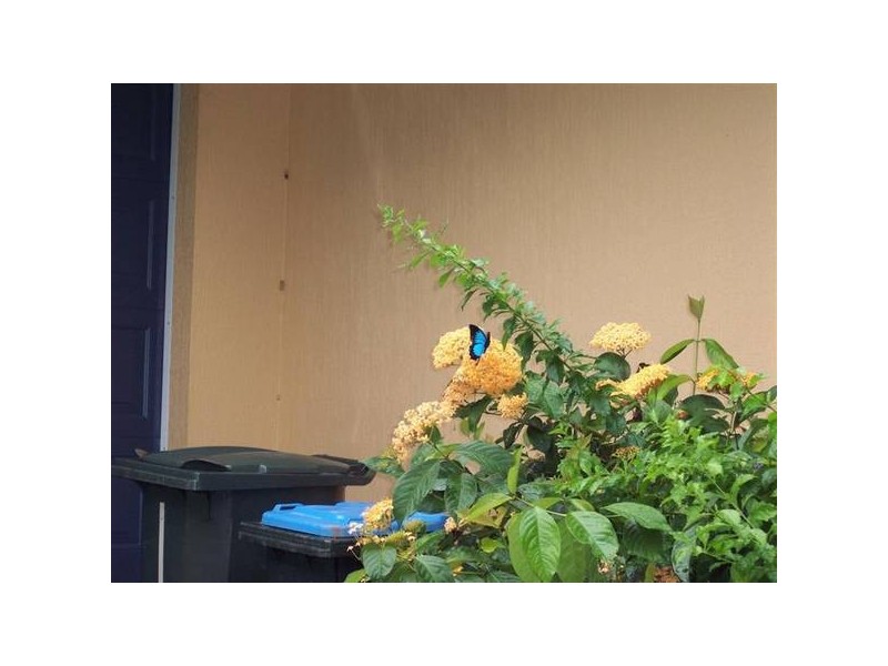 Mission Beach QLD 4852