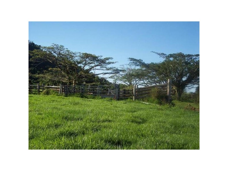 El Arish QLD 4855