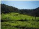 El Arish QLD 4855