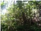 Granadilla QLD 4855