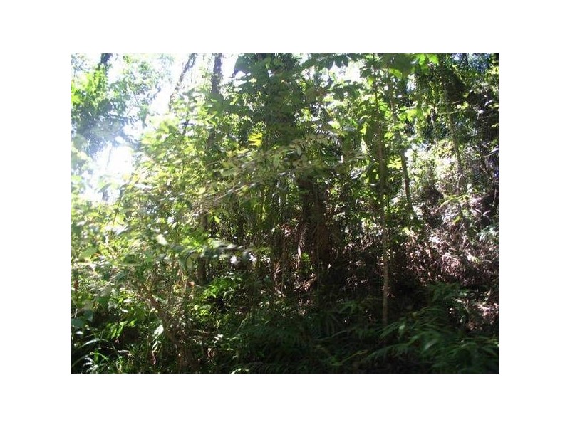 Granadilla QLD 4855