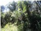 Granadilla QLD 4855