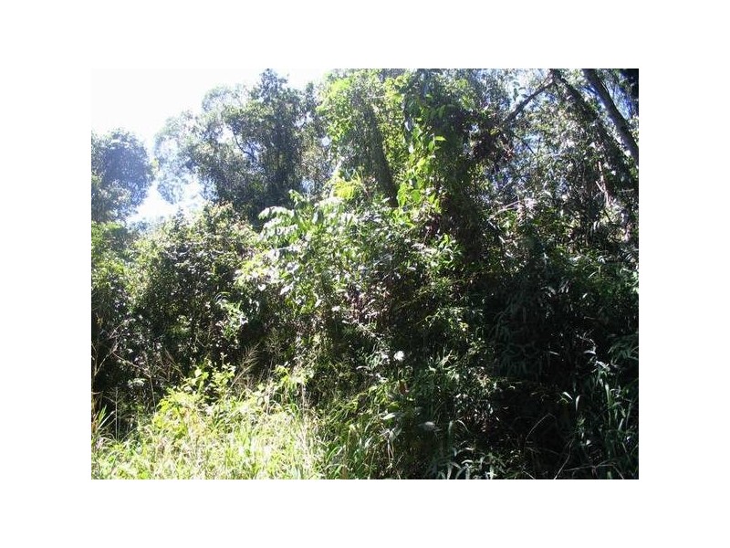 Granadilla QLD 4855