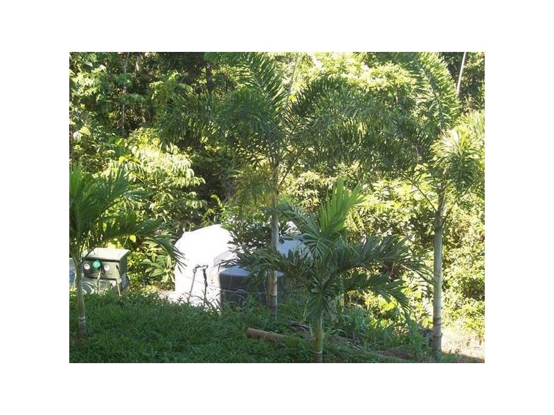 Wongaling Beach QLD 4852