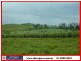 Maria Creeks QLD 4855