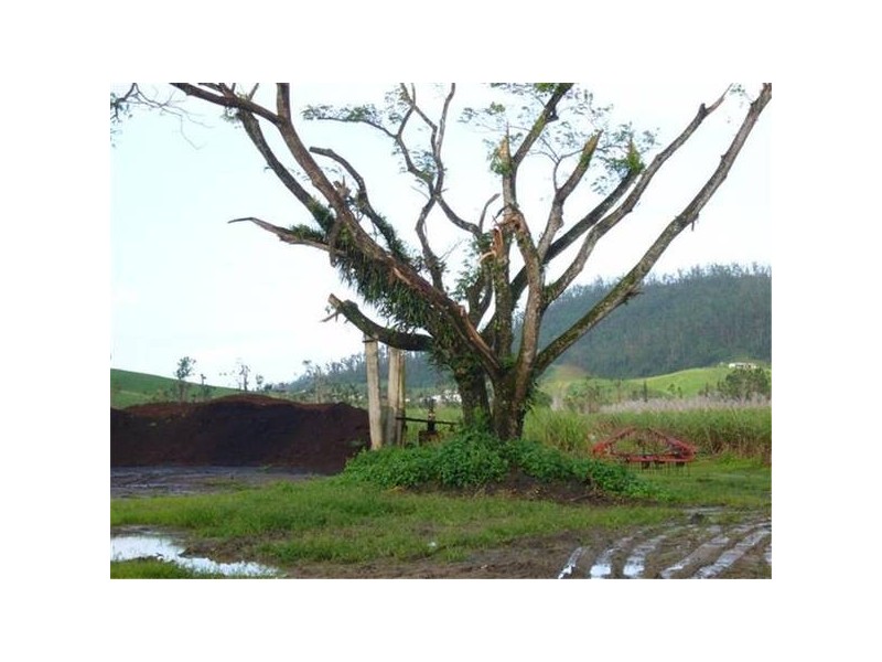 Mission Beach QLD 4852