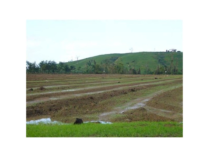 Mission Beach QLD 4852