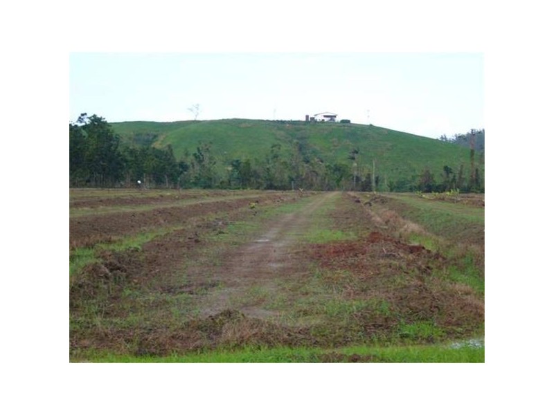 Mission Beach QLD 4852