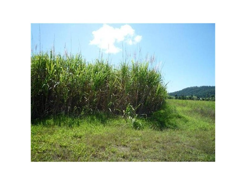 Mission Beach QLD 4852