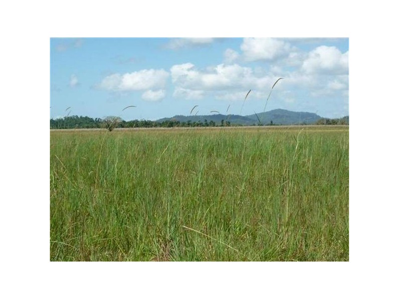 Mission Beach QLD 4852