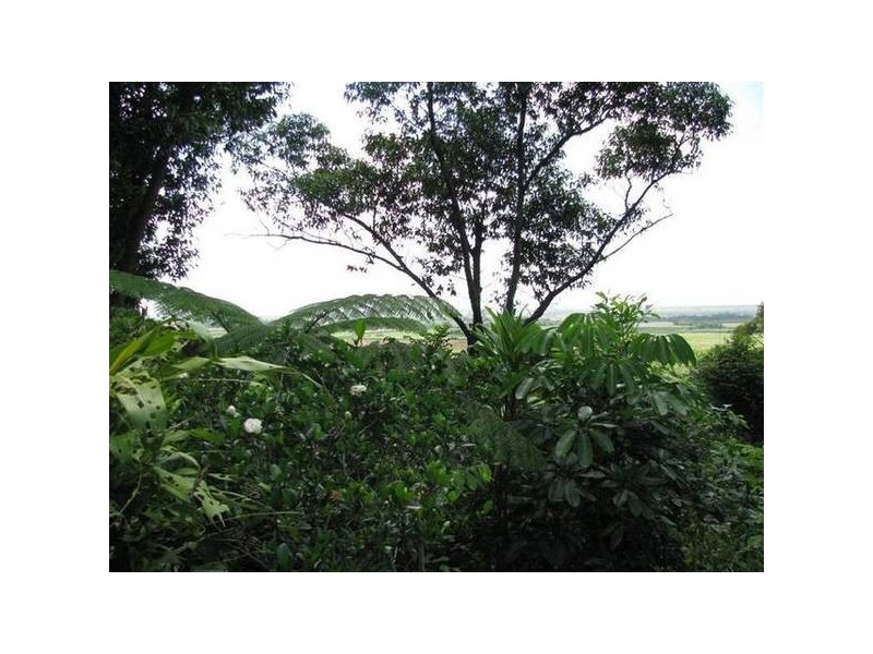 Mission Beach QLD 4852