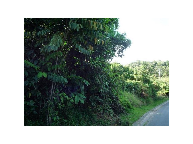 Garners Beach QLD 4852