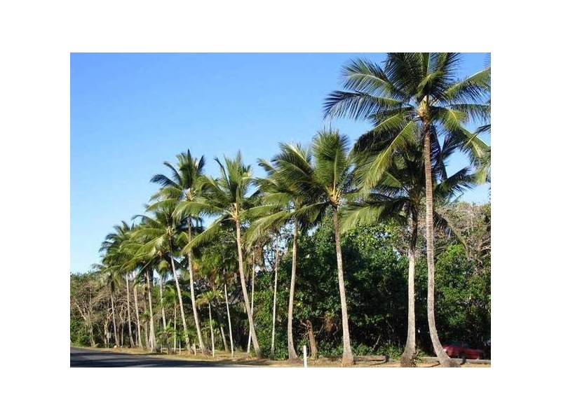 Mission Beach QLD 4852