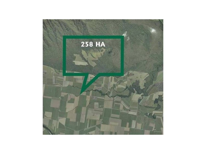 Mission Beach QLD 4852