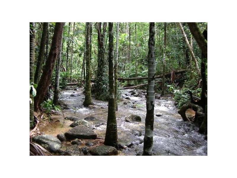 Mission Beach QLD 4852