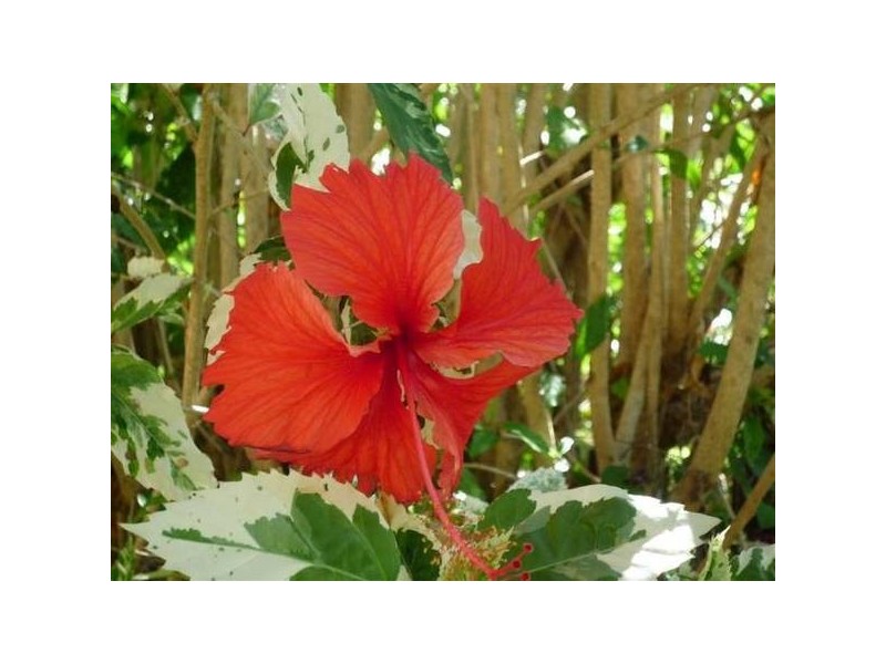 Wongaling Beach QLD 4852