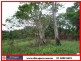 East Feluga QLD 4854