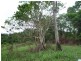 East Feluga QLD 4854