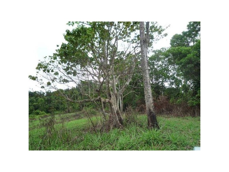 East Feluga QLD 4854