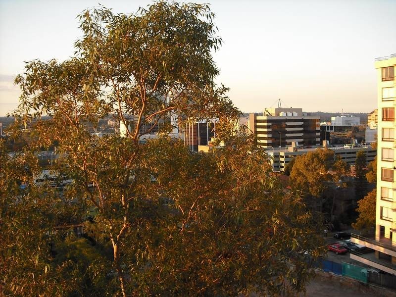 Parramatta NSW 2150