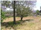 Winston Hills NSW 2153