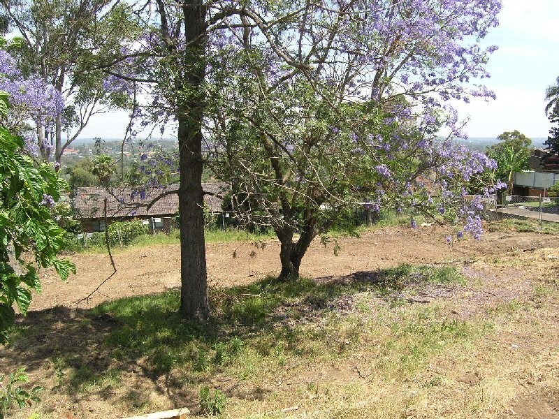 Winston Hills NSW 2153