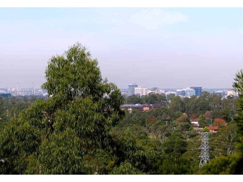 16 Buckleys Road, Winston Hills NSW 2153