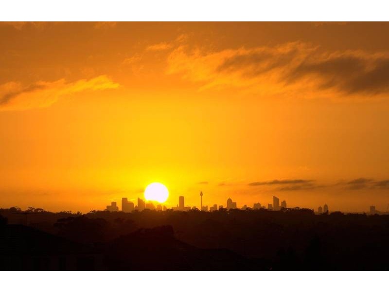 16 Buckleys Road, Winston Hills NSW 2153