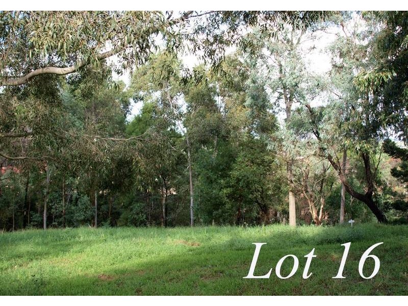 16 Buckleys Road, Winston Hills NSW 2153