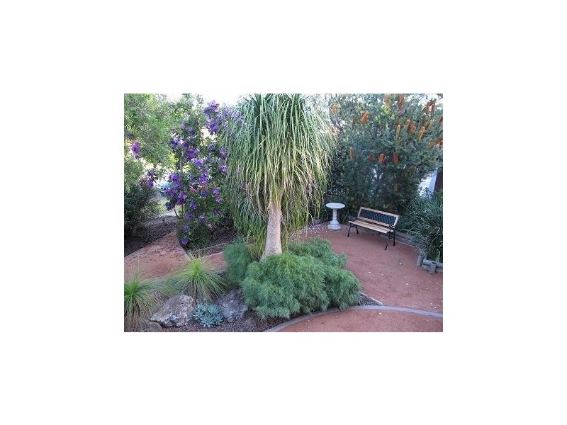 Winston Hills NSW 2153