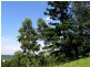 Winston Hills NSW 2153