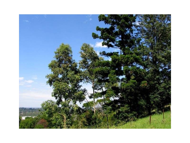Winston Hills NSW 2153
