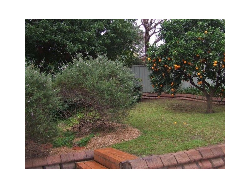 4 Birch Grove, Baulkham Hills NSW 2153